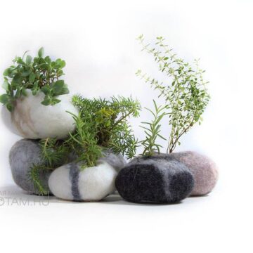 серия эко-сувениров "сад камней". 100% шерсть, ручная работа, живое растение в кашпо из войлока