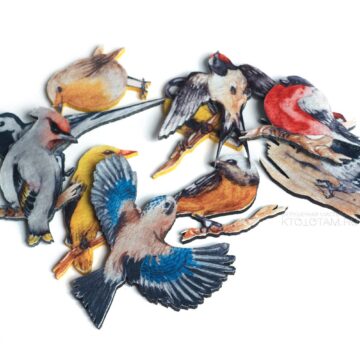 набор птицы из фетра, эко сувениры из фетра, эко сувениры с логотипом из фетра, экологические сувениры с логотипом на заказ