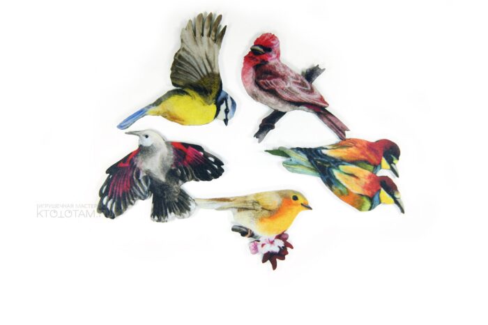 птицы значки и магниты из фетра уникальные сувениры для сувенирной лавки в природном заказнике